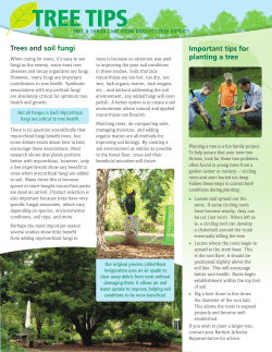 Bartlett Tree Tips - Spring 2017
