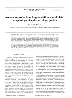 Asexual reproduction, fragmentation, and skeletal morphology of a