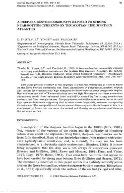 PDF Version - FSU-EOAS - Florida State University