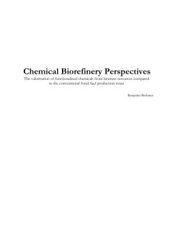 Chemical biorefinery perspectives : the - Wageningen UR E