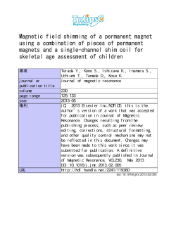 Magnetic field shimming of a permanent magnet using a