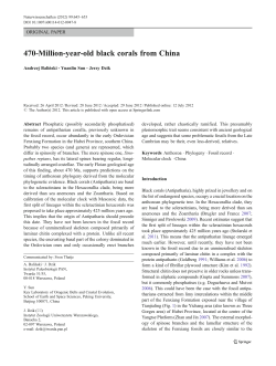 470-Million-year-old black corals from China