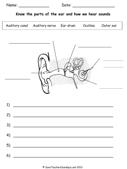 Know the parts of the ear and how we hear