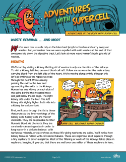 Supercell - A series on how the body works for greater health.
