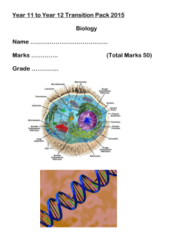 14-19 Online Prospectus