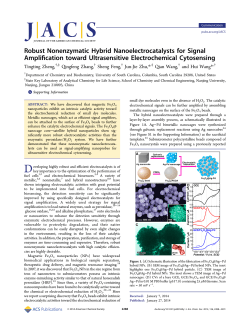 Robust Nonenzymatic Hybrid Nanoelectrocatalysts for Signal