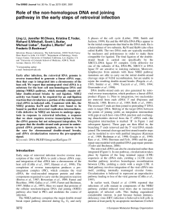 Role of the non-homologous DNA end joining