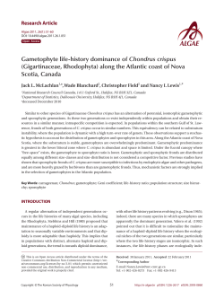 Gametophyte life-history dominance of Chondrus crispus
