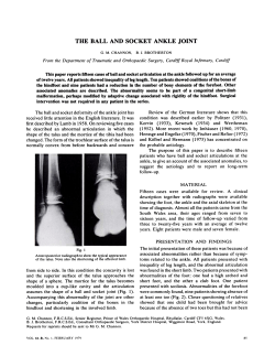 the ball and socket ankle joint