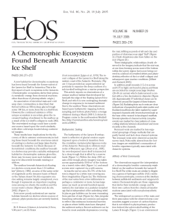 A Chemotrophic Ecosystem Found Beneath