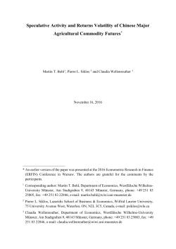 Speculative Activity and Returns Volatility of Chinese Major