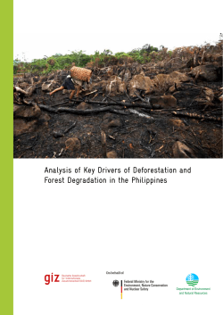 Analysis of Key Drivers of Deforestation and Forest Degradation in