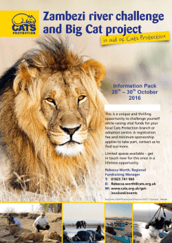 the zambezi challenge