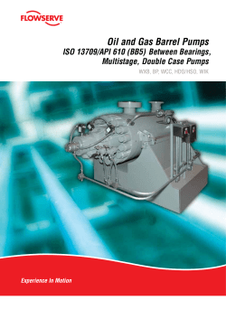 Oil and Gas Barrel Pumps