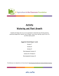 Activity Watering and Plant Growth