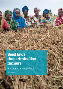 Seed laws that criminalise farmers