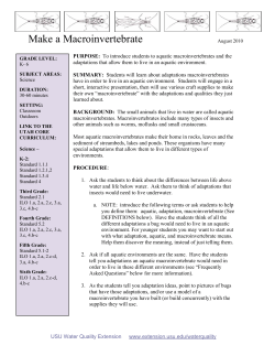 Make a Macroinvertebrate