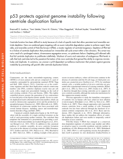 p53 protects against genome instability following centriole