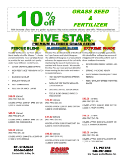 premium blended grass seeds