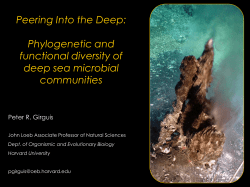Phylogenetic and functional diversity of deep sea microbial
