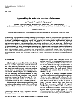 Approaching the molecular structure of ribosomes
