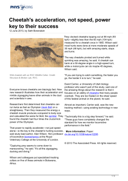 Cheetah`s acceleration, not speed, power key to their