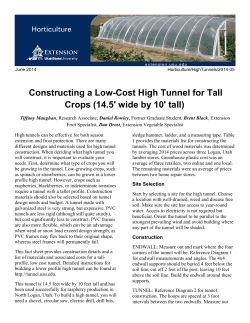 Constructing a Low-Cost High Tunnel for Tall Crops