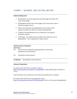 LESSON 7: SEAFOOD AND PHYTOPLANKTON