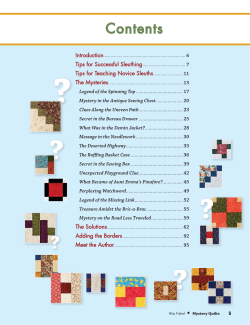 Mystery Quilts by Rita Fishel