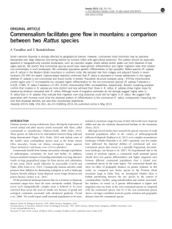 Commensalism facilitates gene flow in mountains: a