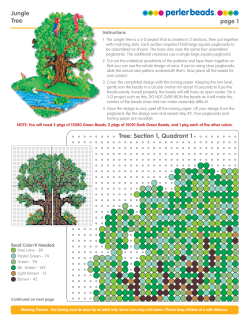 page 1 Jungle Tree Tree: Section 1, Quadrant 1