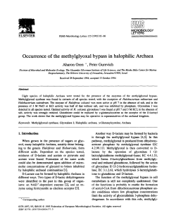 Occurrence of the methylglyoxal bypass in halophilic Archaea