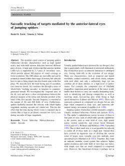Hyperacute motion detection by the lateral eyes of jumping spider