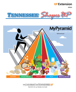 TENNESSEE Shapes UP - University of Tennessee Extension