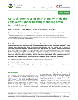 Costs of locomotion in polar bears: when do the