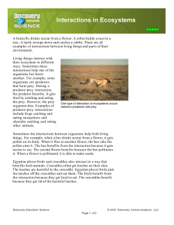 A butterfly drinks nectar from a flower. A robin builds a nest in a tree