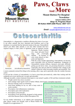 Autumn 2014 - Mount Hutton Pet Hospital