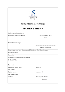 MASTER`S THESIS