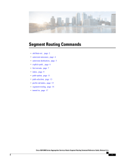 Segment Routing Commands