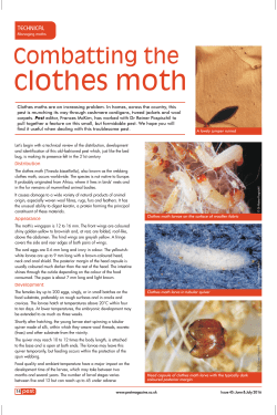 clothes moth - Pest magazine