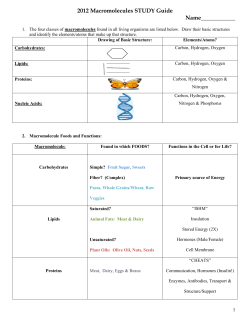 2012 Macromolecules STUDY Guide