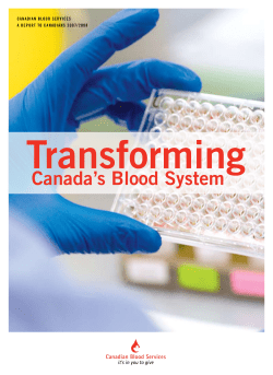 2007 - 2008 Report