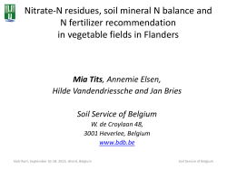 Nitrate N residues, soil mineral N balance and N fertilizer