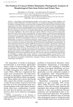The Position of Cetacea Within Mammalia