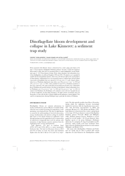 Dinoflagellate sedimentation followed by sediment traps with short