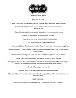 Cocktail Party Menu BIGGER STUFF