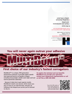 Newsletter February 2013