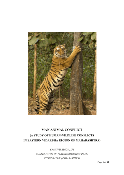 man animal conflict