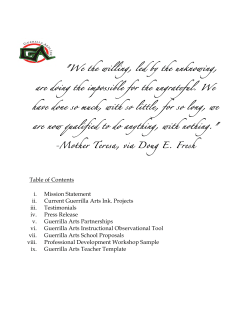 Guerilla Arts Marketing Plan