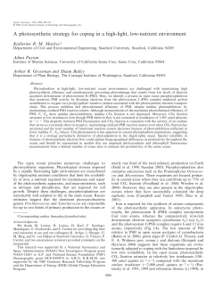 A photosynthetic strategy for coping in a high-light, low
